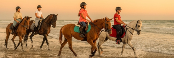 Roatan Horseback Riding – Beach, Jungle & Resort Pass